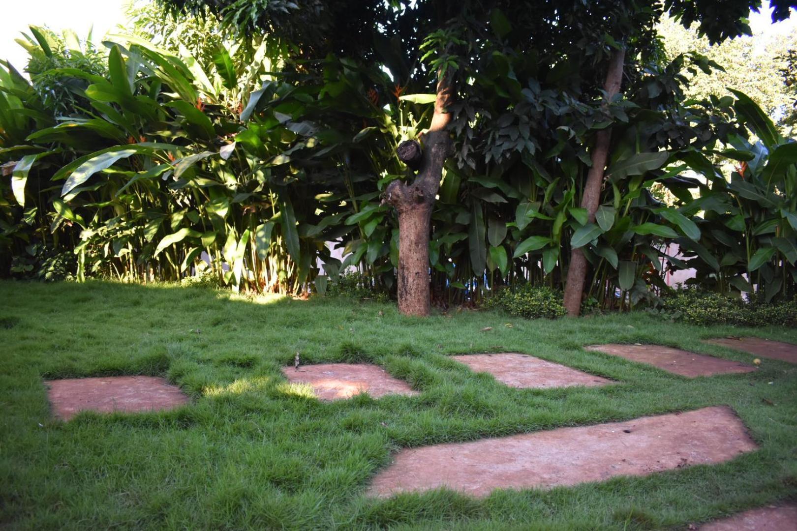 Kilimanjaro Accommodation Msaranga Dış mekan fotoğraf